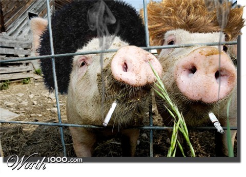 Photoshop Design by NinjaUK