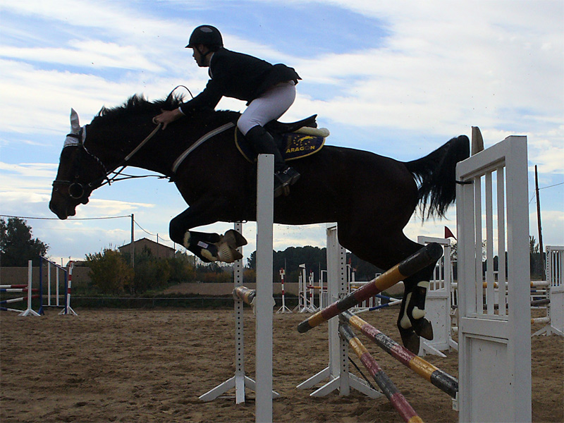 Fotografía por IsleofJura para DesignCrowd (Community Contests) | Diseño #9011806