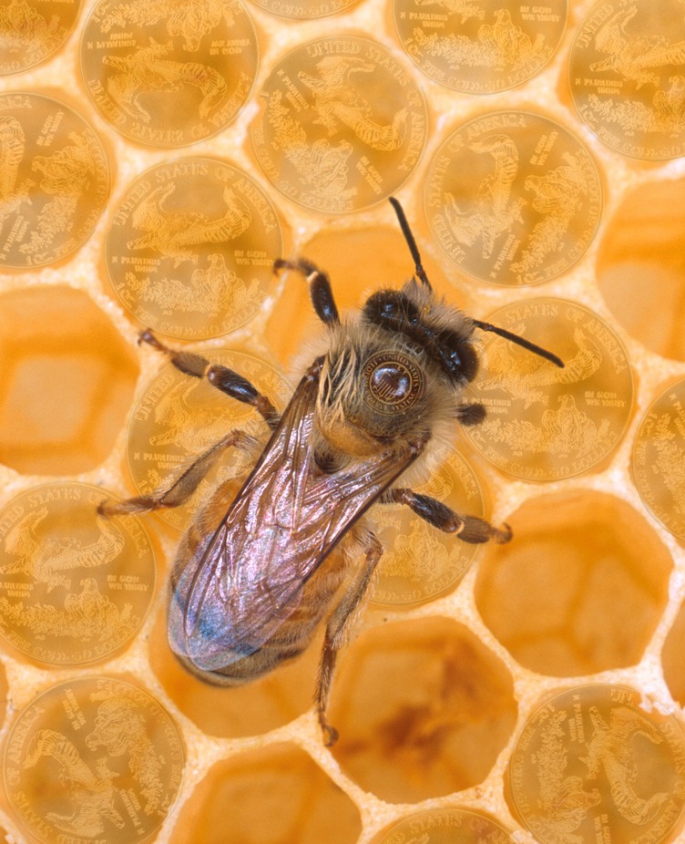 Photoshop Design by vytcheslav for DesignCrowd (Community Contests) | Design #9015659