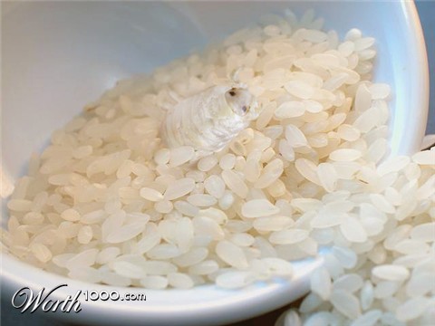 Photoshop Design by Yukarangz