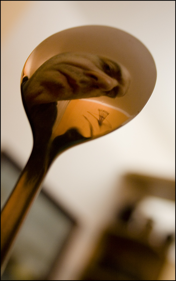 Photography by majkus for DesignCrowd (Community Contests) | Design #9011666