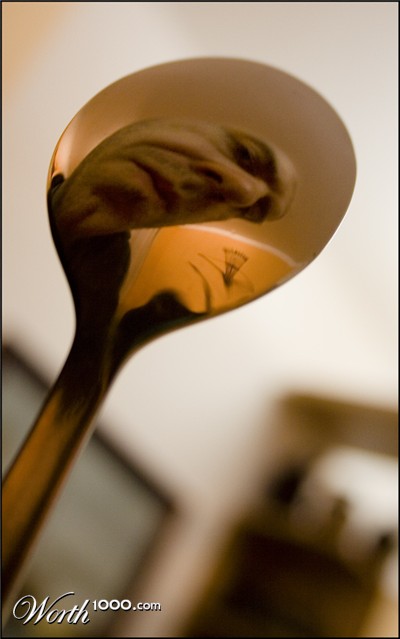 Photography by majkus