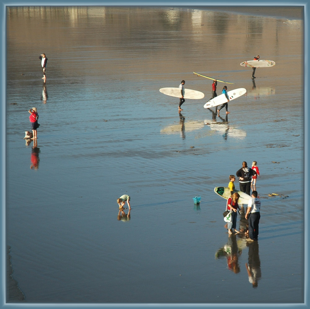 Photography by Larvice for DesignCrowd (Community Contests) | Design #9011733