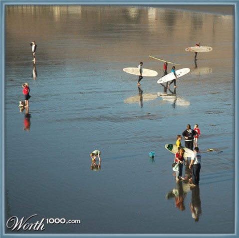 Photography by Larvice