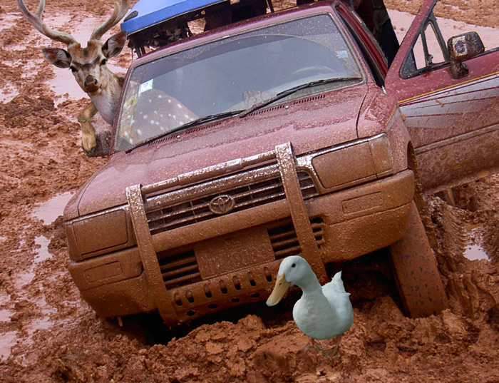 Photoshop Design by Sassydeb for DesignCrowd (Community Contests) | Design #9015716