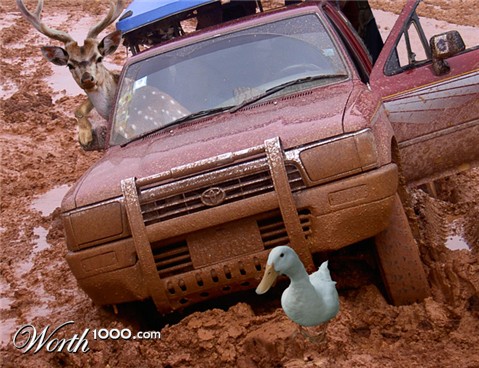 Photoshop Design by Sassydeb