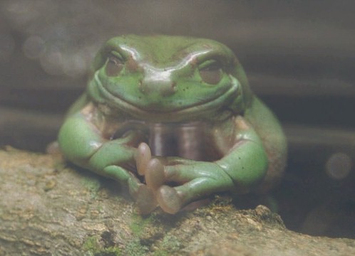 Diseño de Photoshop por teego56 para DesignCrowd (Community Contests) | Diseño #9015700