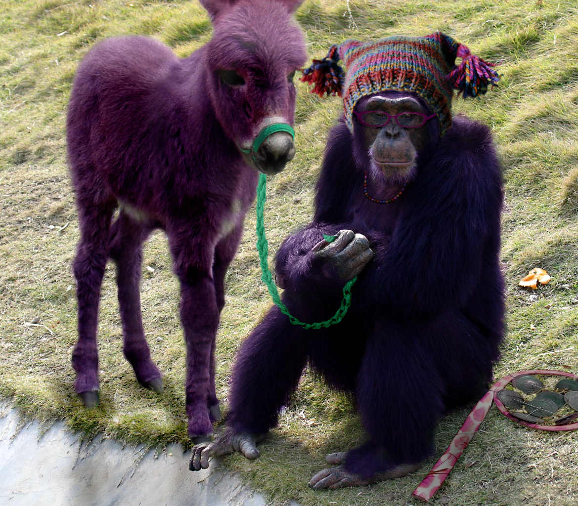 Photoshop-Design von Hobbit90 für DesignCrowd (Community Contests) | Design #9015714