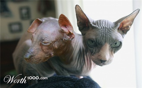 Photoshop Design by Yukarangz