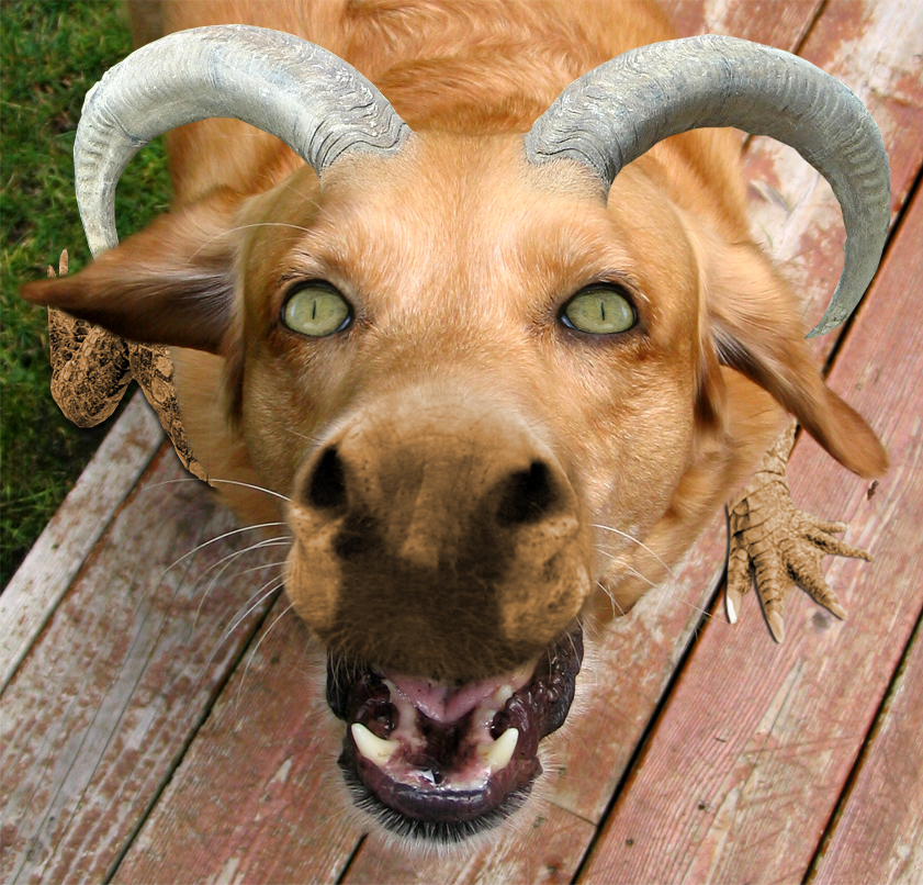 Photoshop Design by DerDave for DesignCrowd (Community Contests) | Design #9009922