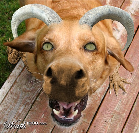 Photoshop Design by DerDave