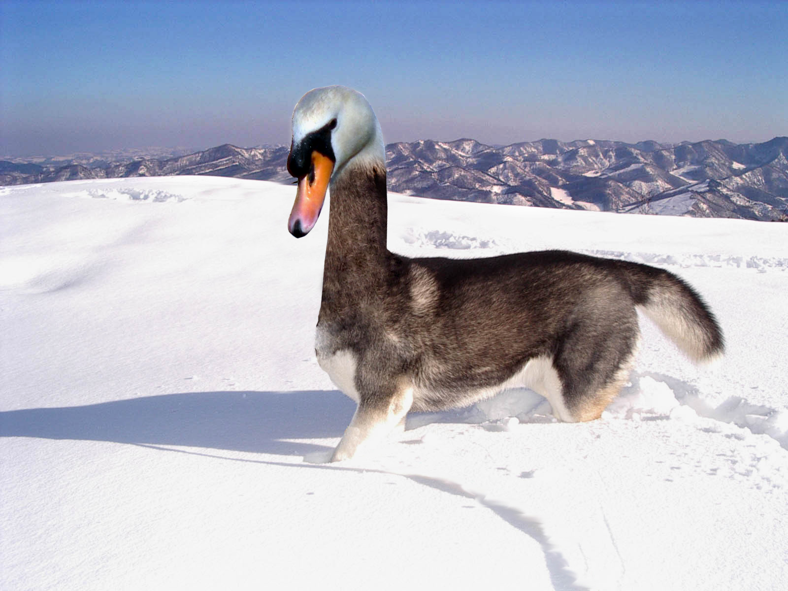 Photoshop Design by vinwin75 for DesignCrowd (Community Contests) | Design #9009936