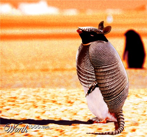 Photoshop Design by pinnaweb