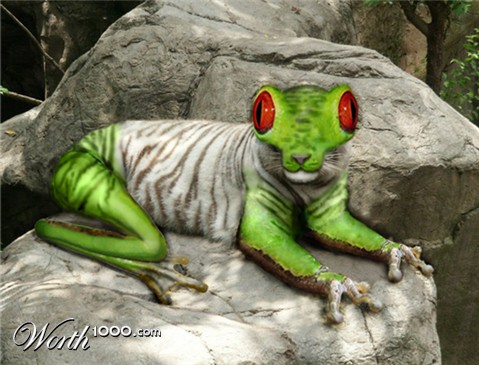 Photoshop Design by FrogJon