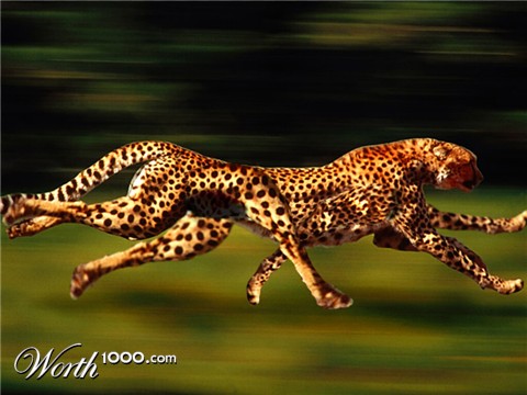 Photoshop Design by carnageehw