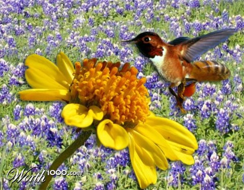 Photoshop Design by storyteacher2002