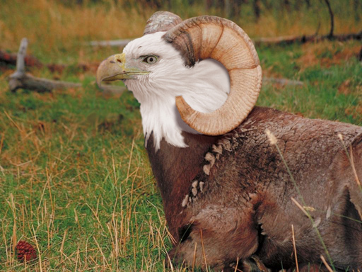 Photoshop Design by idohof for DesignCrowd (Community Contests) | Design #9009986