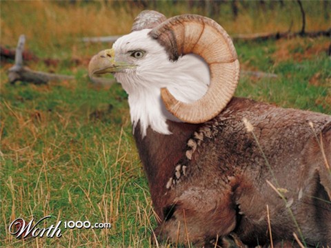 Photoshop Design by idohof