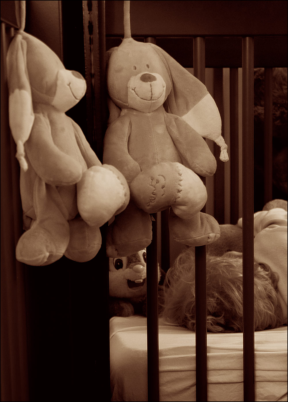 Fotografie von egonlinden für DesignCrowd (Community Contests) | Design #9011858