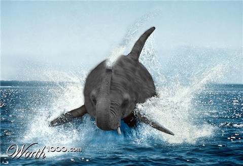 Photoshop Design by plarios