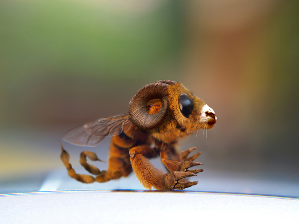 Diseño de Photoshop por Terrence para DesignCrowd (Community Contests) | Diseño #9009960