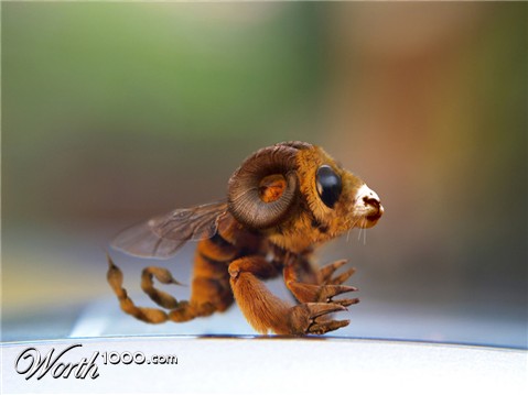 Photoshop Design by Terrence