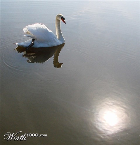 Photography by Jaap54