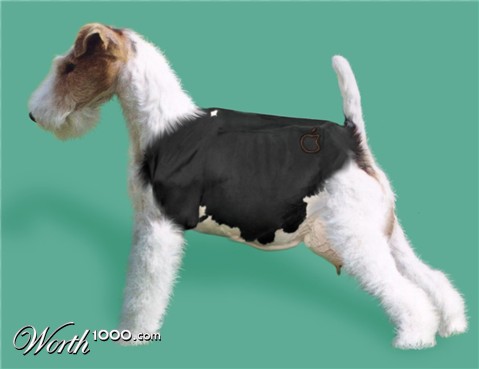 Photoshop Design by kibbitzmom