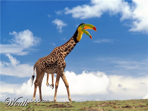 Photoshop Design by etirabys