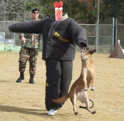 Photoshop Design by IceDesign