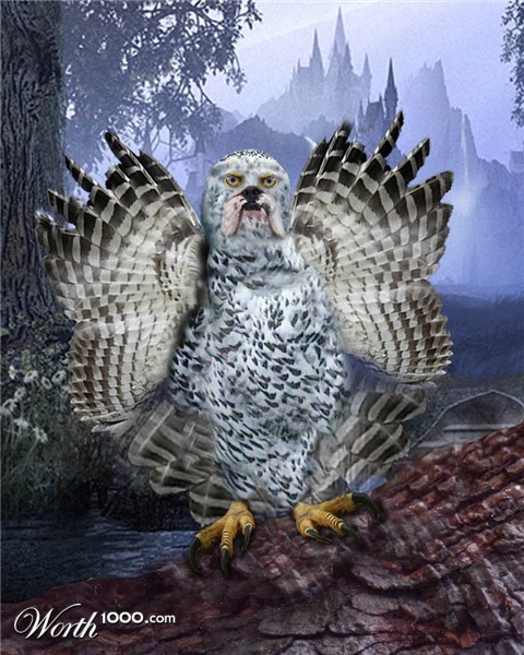 Photoshop Design by roboneill