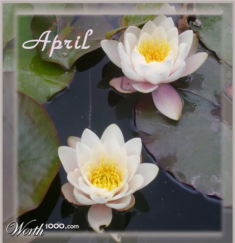 Photography by narinearraul