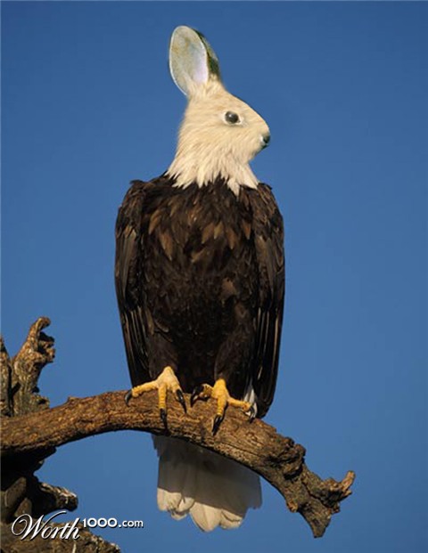 Photoshop Design by largecooldude