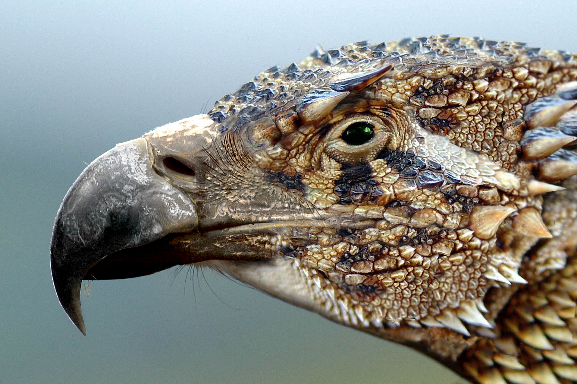 Diseño de Photoshop por Musicguy13 para DesignCrowd (Community Contests) | Diseño #9010084