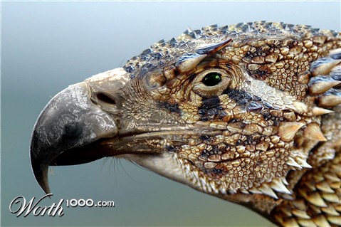 Photoshop Design by Musicguy13