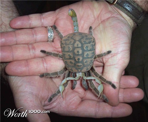 Photoshop Design by Lokstok