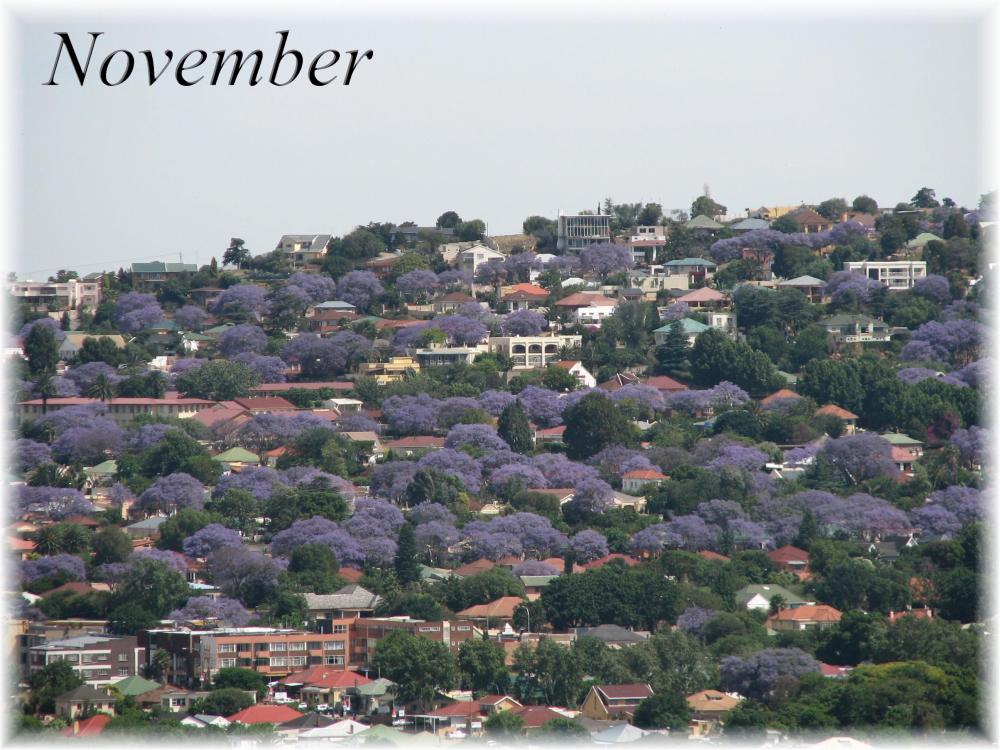 Fotografía por Avigayil para DesignCrowd (Community Contests) | Diseño #9006699