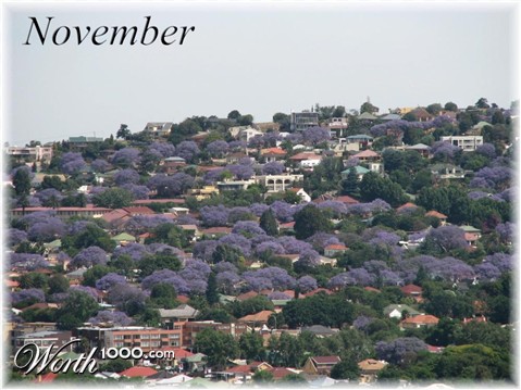 Photography by Avigayil