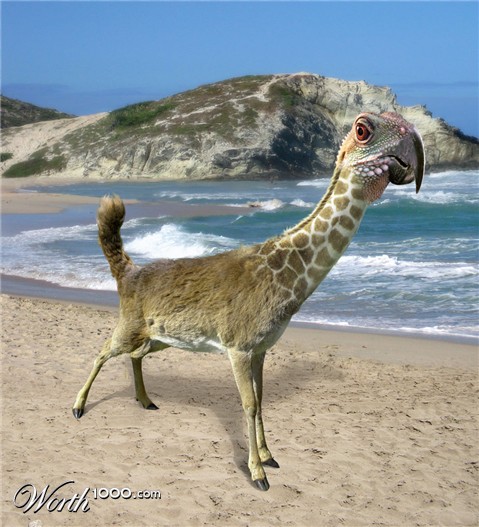 Photoshop Design by Jimmith