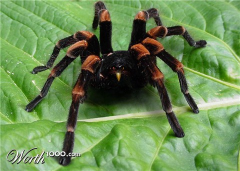 Photoshop Design by TwoLines