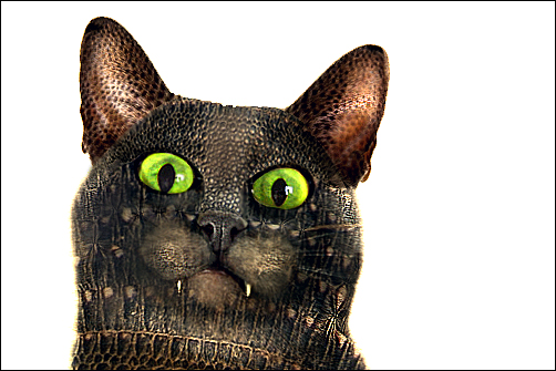 Design Photoshop par lizzardego pour DesignCrowd (Community Contests) | Design #9010121
