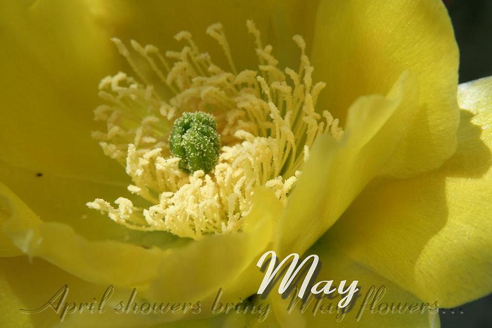 Photography by starshimmer for DesignCrowd (Community Contests) | Design #9006686