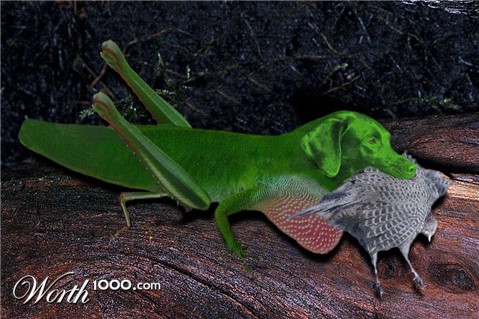 Photoshop Design by underworth