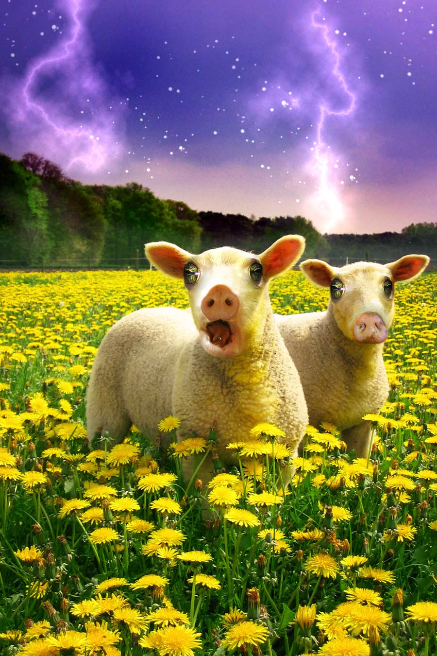 Photoshop Design by yamila for DesignCrowd (Community Contests) | Design #9010122