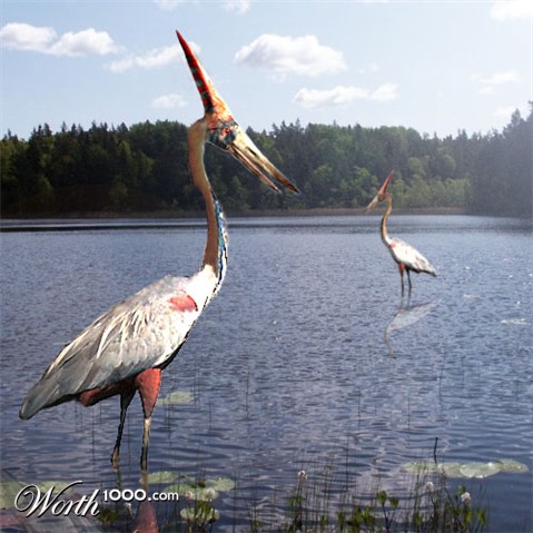 Photoshop Design by SlamJack