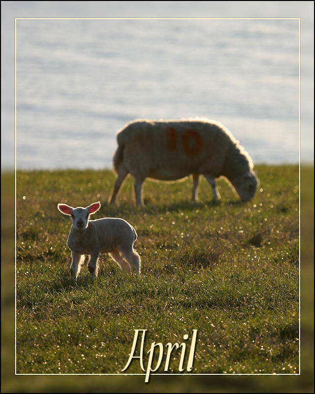 Photographie par SigloV pour DesignCrowd (Community Contests) | Design #9006703