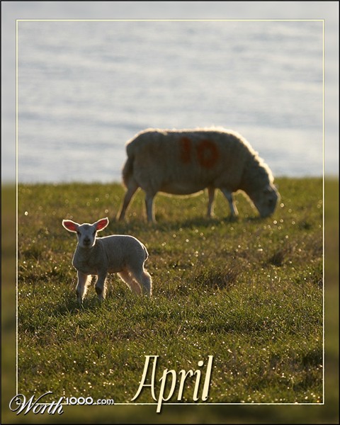 Photography by SigloV