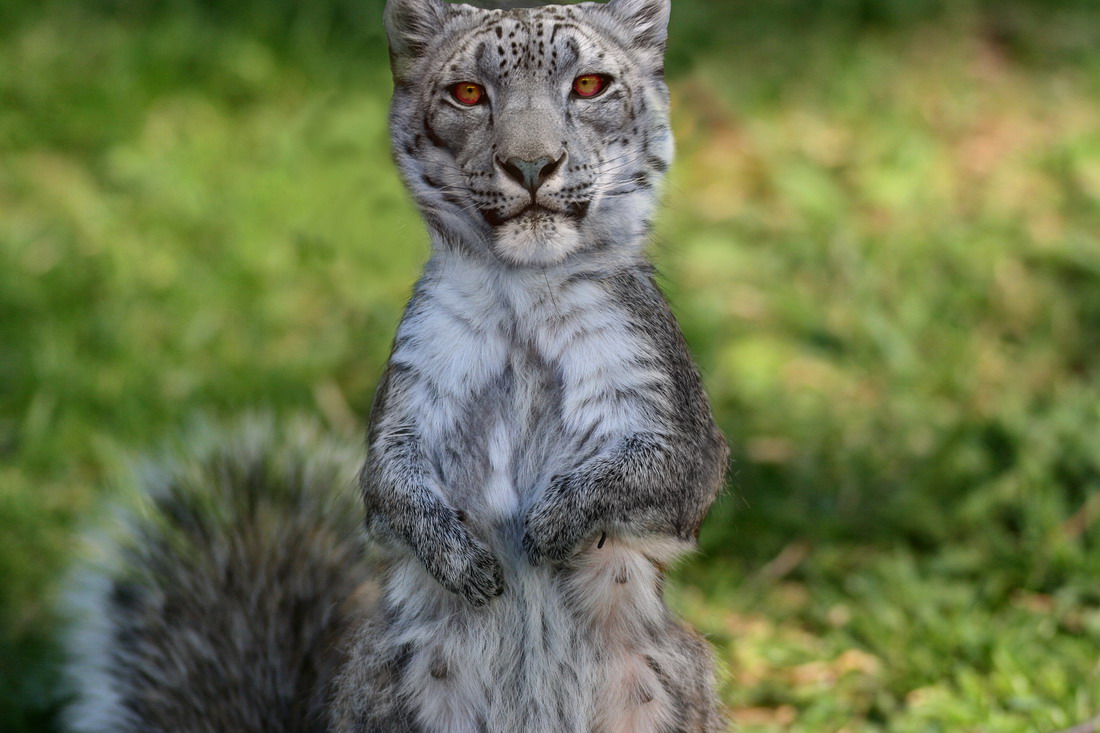 Design Photoshop par benzen pour DesignCrowd (Community Contests) | Design #9010128