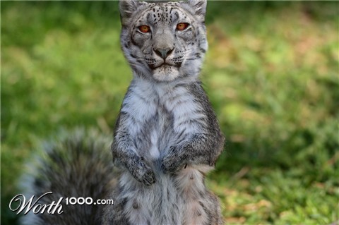 Photoshop Design by benzen