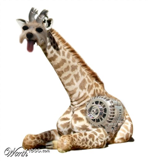 Photoshop Design by Plensje